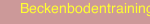 Beckenbodentraining